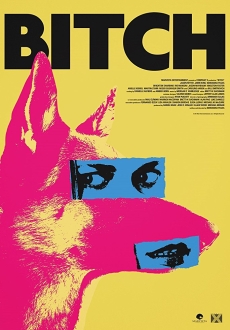 "Bitch" (2017) WEB-DL.x264-FGT