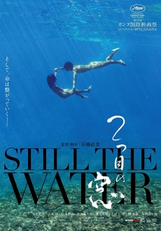 "Still the Water" (2014) iNTERNAL.BDRip.x264-NODLABS