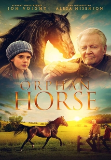 "Orphan Horse" (2018) BDRip.x264-ARiES