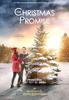 "The Christmas Promise" (2021) WEBRip.x264-ION10