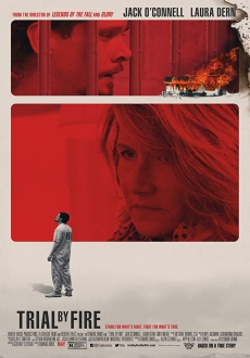 "Trial by Fire" (2018) WEBRip.x264-ION10