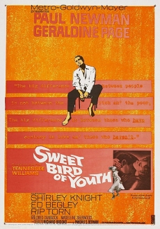 "Sweet Bird of Youth" (1962) iNTERNAL.HDTV.x264-REGRET