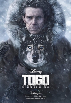 "Togo" (2019) WEBRip.x264-ION10