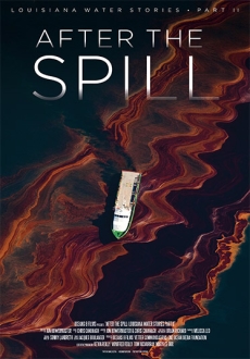 "After the Spill" (2015) NF.WEB-DL.x264-RBB