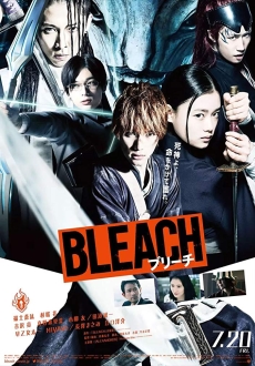 "Bleach" (2018) HDRip.XviD.AC3-EVO