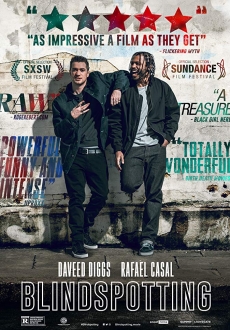 "Blindspotting" (2018) PL.BDRiP.x264-PSiG