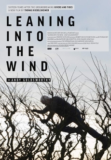 "Leaning Into the Wind: Andy Goldsworthy" (2017) LiMiTED.DVDRip.x264-CADAVER