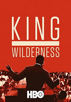 "King in the Wilderness" (2018) HDTV.x264-aAF