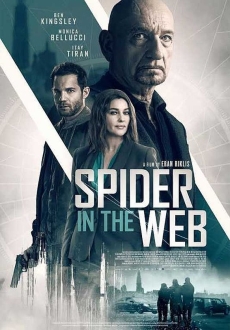 "Spider in the Web" (2019) PL.BDRiP.x264-PSiG