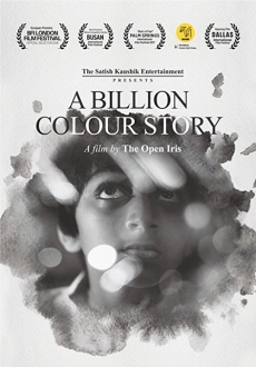 "A Billion Colour Story" (2016) WEBRip.x264-ION10