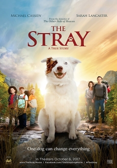 "The Stray" (2017) BDRip.x264-GECKOS