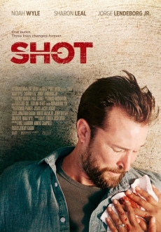 "Shot" (2017) LiMiTED.DVDRip.x264-LPD