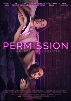 "Permission" (2017) LiMiTED.DVDRip.x264-LPD