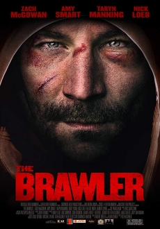 "The Brawler" (2018) DVDRip.x264-FiCO
