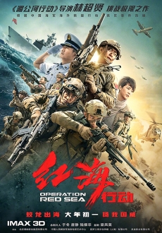 "Operation Red Sea" (2018) BDRip.x264-LPD