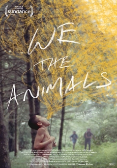 "We the Animals" (2018) HDRip.XviD.AC3-EVO