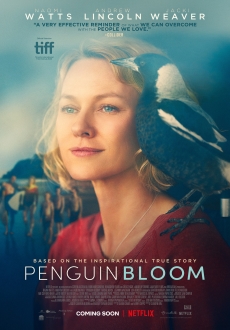"Penguin Bloom" (2021) HDRip.XviD.AC3-EVO