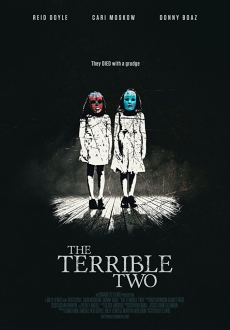 "The Terrible Two" (2018) DVDRip.x264-ARiES