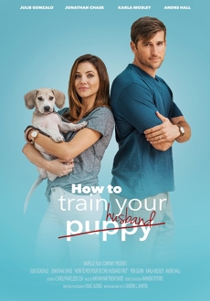 "How to Train Your Husband" (2018) WEBRip.x264-ION10