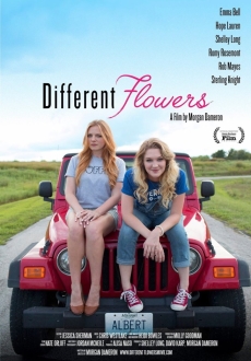 "Different Flowers" (2017) WEB-DL.x264-FGT