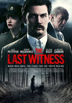 "The Last Witness" (2018) LiMiTED.DVDRip.x264-CADAVER