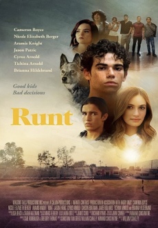 "Runt" (2020) WEBRip.x264-ION10