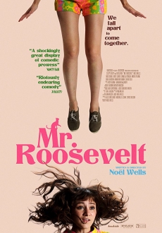 "Mr. Roosevelt" (2017) HDRip.XviD.AC3-EVO