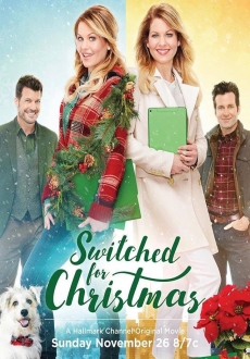 "Switched for Christmas" (2017) HDTV.x264-W4F