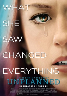 "Unplanned" (2019) BDRip.X264-AMIABLE