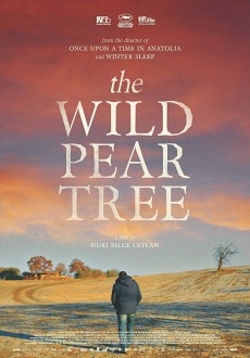 "The Wild Pear Tree" (2018) BDRip.x264-DEPTH