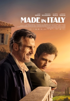 "Made in Italy" (2020) BDRip.x264-FREEMAN