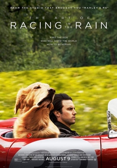 "The Art of Racing in the Rain" (2019) BDRip.x264-DRONES