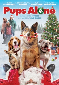 "Pups Alone" (2021) HDRip.XviD.AC3-EVO