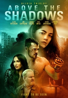 "Above the Shadows" (2019) DVDRip.XViD.AC3-ETRG