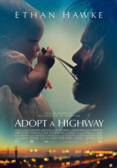 "Adopt a Highway" (2019) BDRip.x264-DRONES