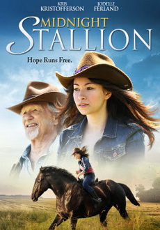 "Midnight Stallion" (2013) BDRip.x264-RUSTED