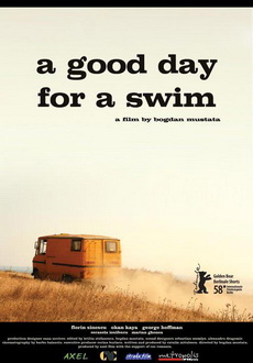 "A Good Day for a Swim" (2008) FESTiVAL.DVDRip.XviD-LAP