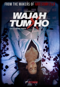 "Wajah Tum Ho" (2016) Hindi.DVDRip.XviD.AC3-WeTv