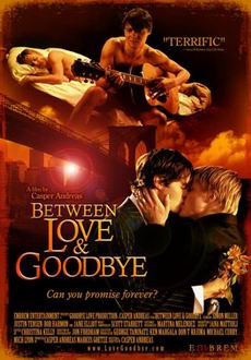 "Between Love And Goodbye" (2008) LIMITED.DVDRip.XviD-VH-PROD