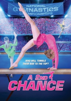 "A 2nd Chance" (2011) WEB.x264-MEMENTO