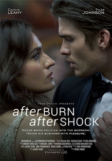 "Afterburn/Aftershock" (2017) HDRip.XviD.AC3-EVO