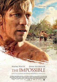 "The Impossible" (2012) CAM.READNFO.XViD-26k