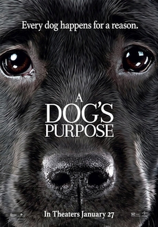 "A Dog's Purpose" (2017) BDRip.x264-AMIABLE