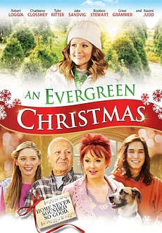 "An Evergreen Christmas" (2014) DVDRip.x264-SPOOKS