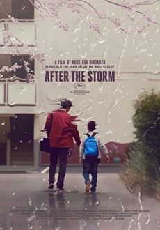 "After the Storm" (2016) LIMITED.BDRip.x264-BiPOLAR