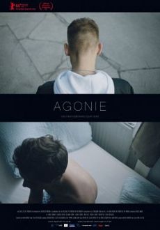 "Agonie" (2016) DVDRip.x264-BiPOLAR  