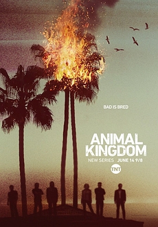 "Animal Kingdom" [S01E09] HDTV.x264-LOL
