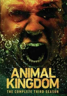 "Animal Kingdom" [S03] DVDRip.X264-REWARD