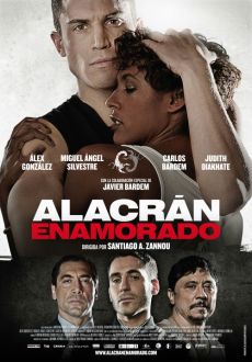 "Alacran enamorado" (2013) SPANiSH.BDRip.x264-TORO  