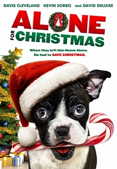 "Alone for Christmas" (2013) BDRip.x264-STRATOS